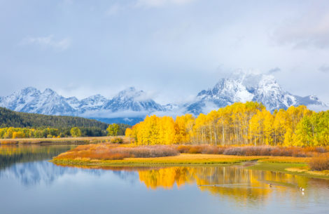 Storm collides with perfect fall colors at Oxbow Bend, Grand Tetons National Park