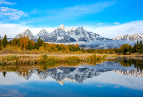 Fall at Schwabacher Landing, Grand Teton National Park