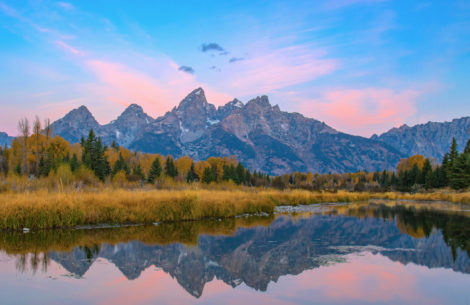 A stunning pink and blue sunrise in fall with perfect reflections in Grand Teton National Park