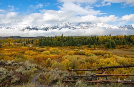 Stunning fall colors along the Snake River with a fresh snow on the Tetons